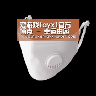 N95 口罩