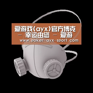 N95 口罩