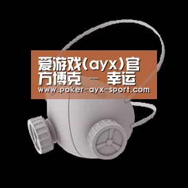 N95 口罩
