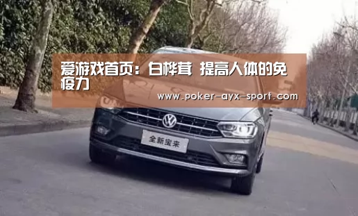 爱游戏首页:白桦茸 提高人体的免疫力(图2) 爱游戏首页