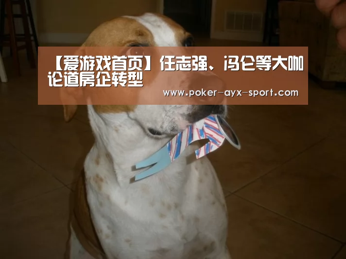 【爱游戏首页】任志强、冯仑等大咖论道房企转型(图2) 爱游戏首页