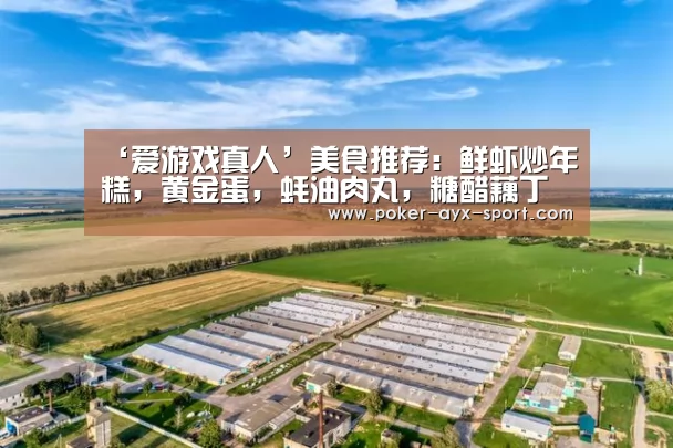 ‘爱游戏真人’美食推荐:鲜虾炒年糕,黄金蛋,蚝油肉丸,糖醋藕丁的做法(图3) 爱游戏真人