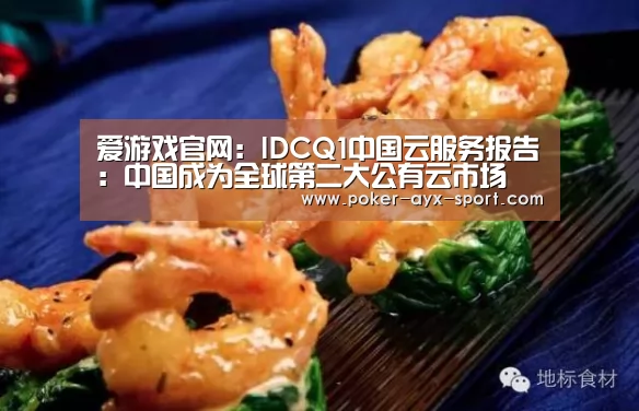 爱游戏官网:IDCQ1中国云服务报告:中国成为全球第二大公有云市场(图1) 爱游戏首页