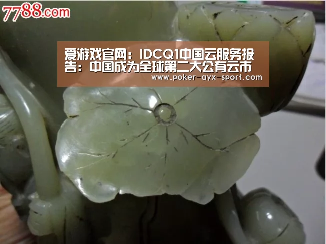 爱游戏官网:IDCQ1中国云服务报告:中国成为全球第二大公有云市场(图2) 爱游戏首页