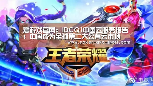 爱游戏官网:IDCQ1中国云服务报告:中国成为全球第二大公有云市场(图3) 爱游戏真人