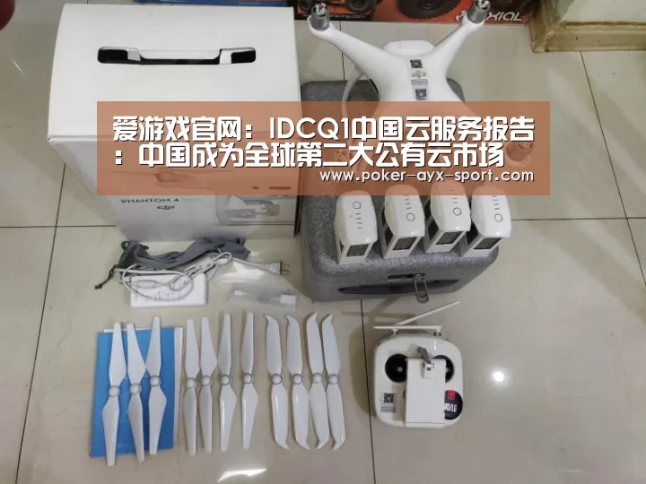 爱游戏官网:IDCQ1中国云服务报告:中国成为全球第二大公有云市场(图4) 爱游戏