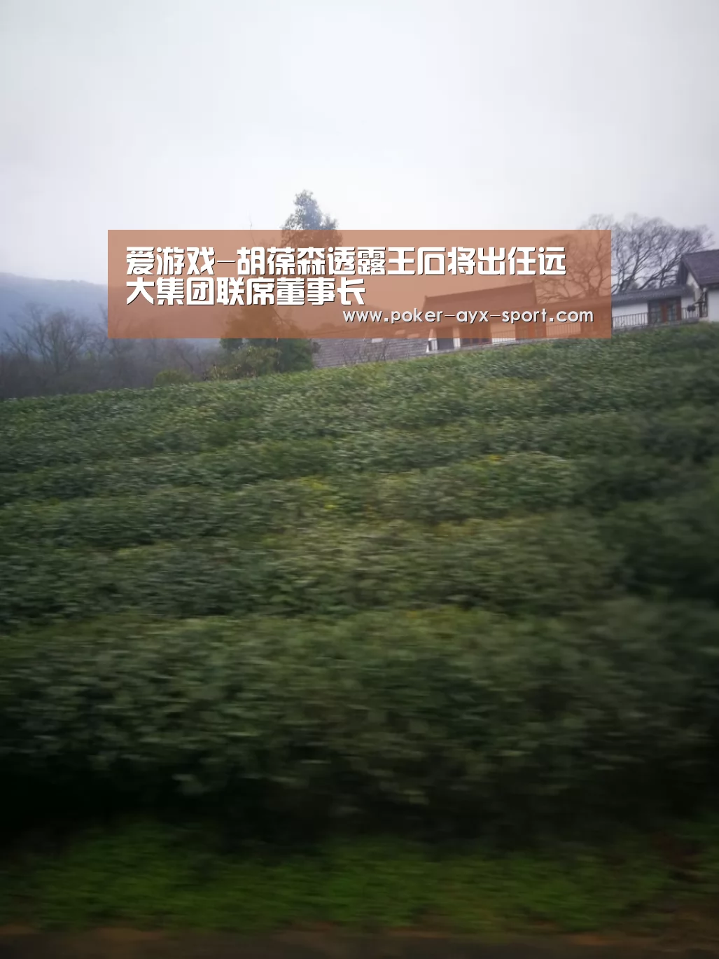 爱游戏-胡葆森透露王石将出任远大集团联席董事长