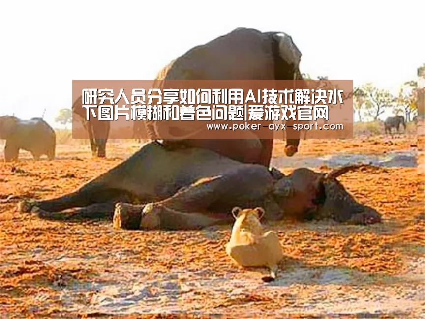 研究人员分享如何利用AI技术解决水下图片模糊和着色问题|爱游戏官网(图1) 爱游戏首页