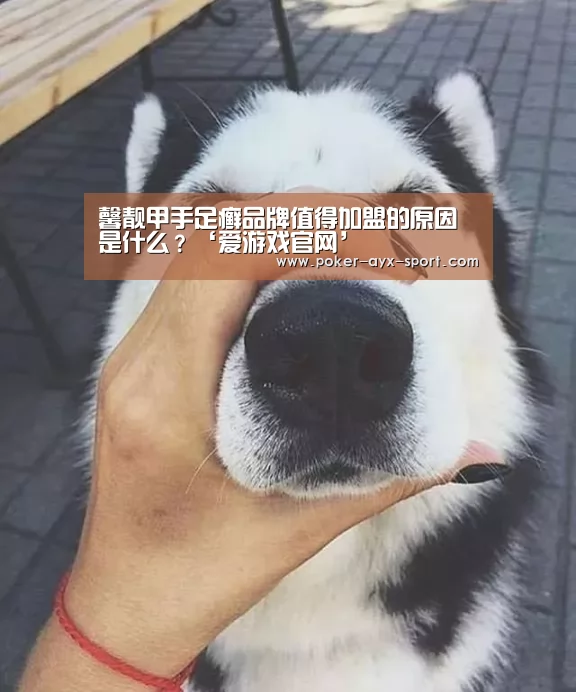 爱游戏真人