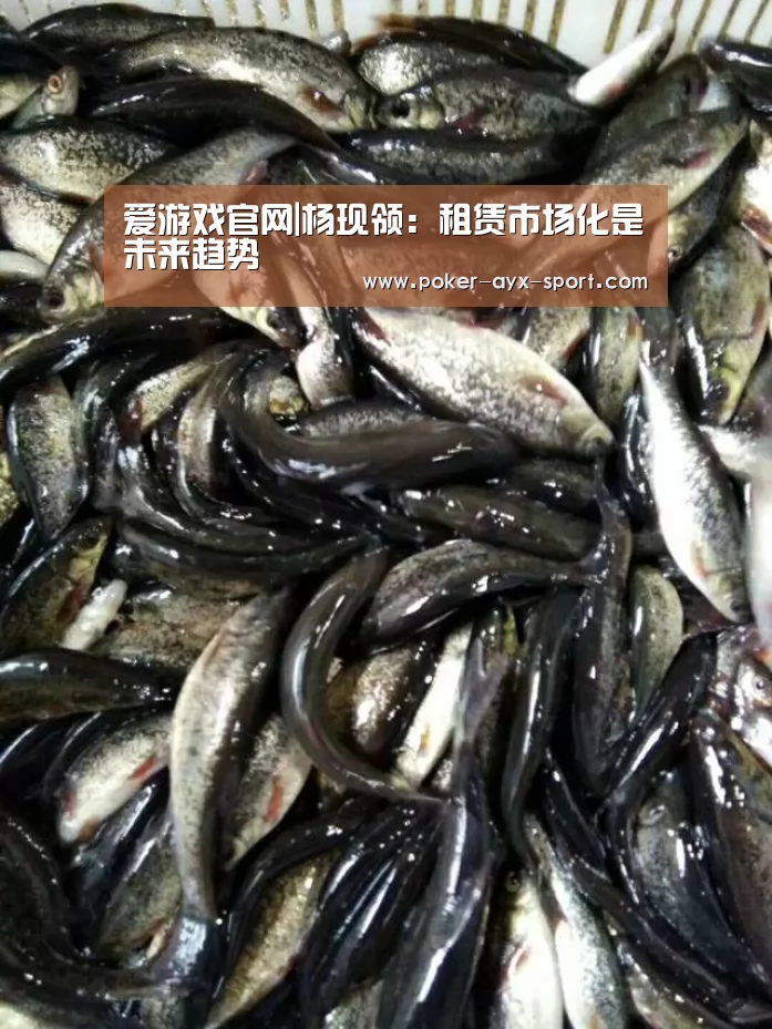 爱游戏首页