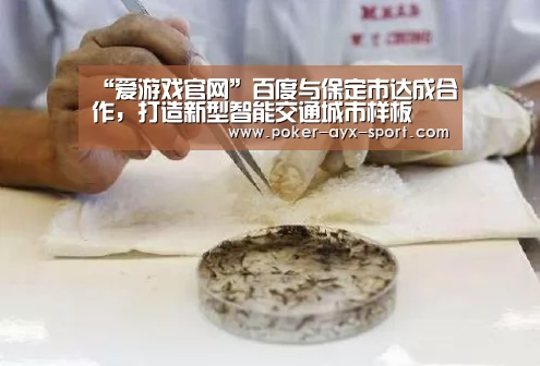 “爱游戏官网”百度与保定市达成合作,打造新型智能交通城市样板(图3) 爱游戏真人