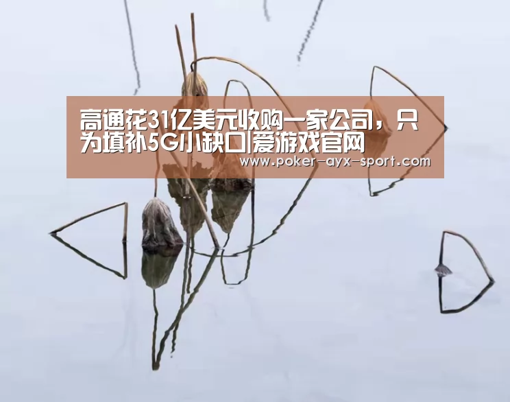 高通花31亿美元收购一家公司,只为填补5G小缺口|爱游戏官网(图1) 爱游戏真人