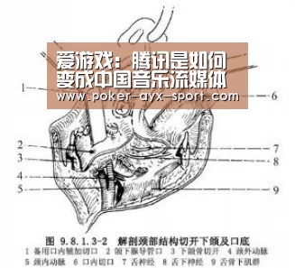 爱游戏:腾讯是如何变成中国音乐流媒体行业的龙头老大的?(图1) 爱游戏